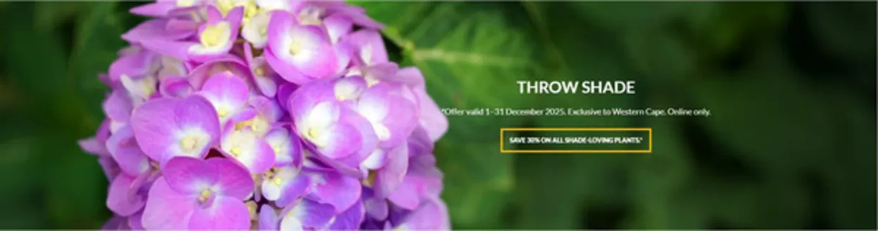 Stodels catalogue | Stodels Promo | 2025-12-03T00:00:00.000Z - 2025-12-31T00:00:00.000Z