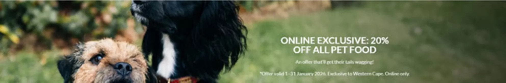 Stodels catalogue in Mmotwaneng | Stodels Promo | 2026-01-01T00:00:00.000Z - 2026-01-31T00:00:00.000Z