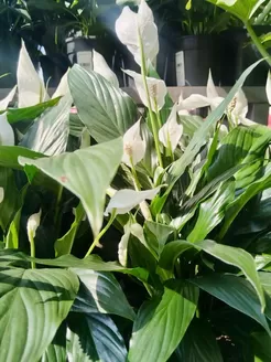 Save Hyper catalogue in Inanda | Current special promotions | 2026-03-07T00:00:00.000Z - 2026-03-21T00:00:00.000Z