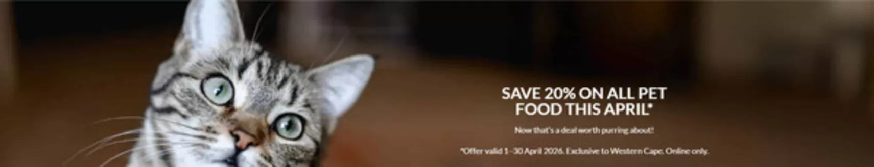 Stodels catalogue in Piketberg | Stodels Promo | 2026-04-02T00:00:00.000Z - 2026-04-30T00:00:00.000Z