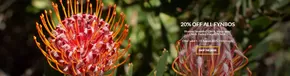 Stodels catalogue in Cape Town | 20% off all fynbos | 2025-08-04T00:00:00.000Z - 2025-08-31T00:00:00.000Z
