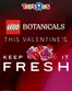ToysRUs catalogue | Lego Botanicals | 2026-02-12T00:00:00.000Z - 2026-03-15T00:00:00.000Z