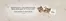True Wood Furniture catalogue | Birthday Celebration | 2026-06-22T00:00:00.000Z - 2026-07-06T00:00:00.000Z