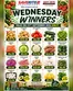 Saverite catalogue | Wednesday Winners | 2026-09-23T00:00:00.000Z - 2026-09-23T00:00:00.000Z