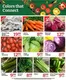 Oxford Freshmarket catalogue in Atteridgeville | Current bargains and offers | 2026-09-23T00:00:00.000Z - 2026-10-07T00:00:00.000Z