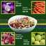 Oxford Freshmarket catalogue in Vrede | Great discounts on selected products | 2026-09-25T00:00:00.000Z - 2026-10-09T00:00:00.000Z