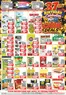 Devland catalogue | Sepcials Devland | 2026-10-15T00:00:00.000Z - 2026-10-21T00:00:00.000Z