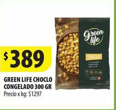 GREEN LIFE CHOCLO CONGELADO 300 GR