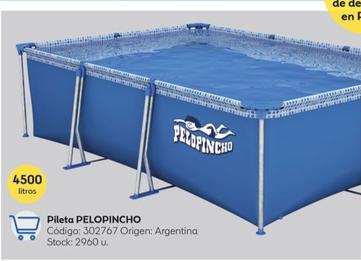 Pileta