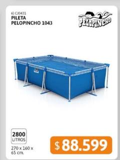 Pileta 1043