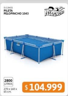 Pileta 1043