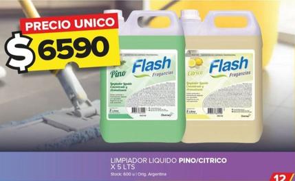 Flash - Limpiador Liquido Pino/citrico