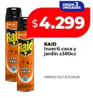 Raid - Insecti casa y jardin x380cc