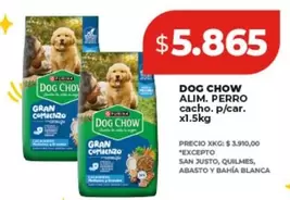 Dog Chow - ALIM. PERRO cacho. p/car.
