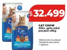 CAT -  CHOW