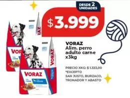 Voraz - Alim. perro adulto carne