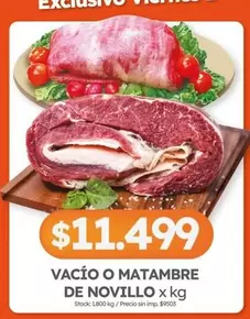 X$ - VACÍO O MATAMBRE