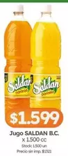 Saldan - SALDAN B.C.