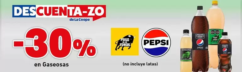 Pepsi - Gaseosas