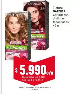 GARNIER - Cor Intensa