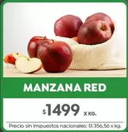 X$ - MANZANA RED