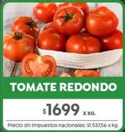 Redondo - TOMATE REDONDO