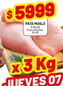 PATA MUSLO