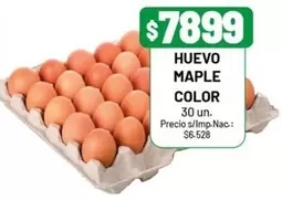 HUEVO MAPLE COLOR