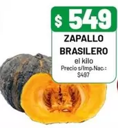 ZAPALLO BRASILERO