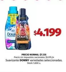 Downy - Suavizante variedades seleccionadas