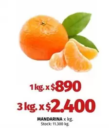 X$ - MANDARINA
