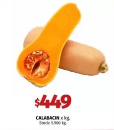 X$ - CALABACIN