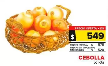 Cebolla 