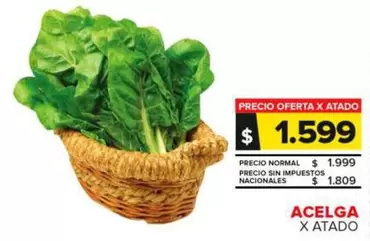 Acelga
