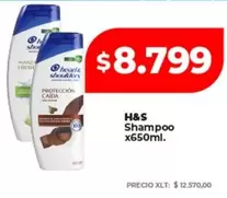 Shampoo