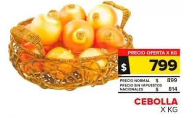 Cebolla