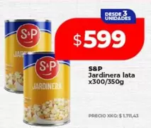 S&P - Jardinera lata