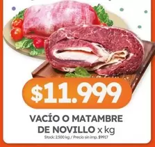 X$ - VACÍO O MATAMBRE DE NOVILLO