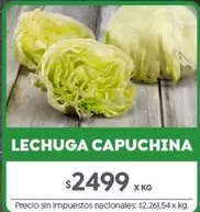 X$ - LECHUGA CAPUCHINA