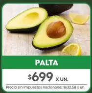 X$ - PALTA