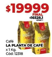 X$ - LA PLANTA DE CAFÉ