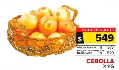 Cebolla