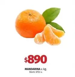 X$ - MANDARINA