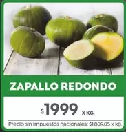 Redondo - ZAPALLO REDONDO