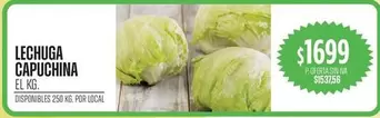 LECHUGA CAPUCHINA