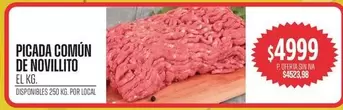PICADA COMÚN DE NOVILLITO