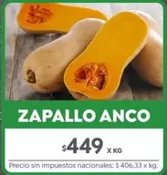 X$ - ZAPALLO ANCO