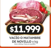 X$ - VACÍO O MATAMBRE DE NOVILLO