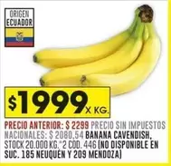 Origen - BANANA CAVENDISH