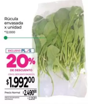 X$ - Rúcula envasada